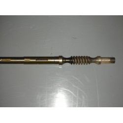 Wormshaft